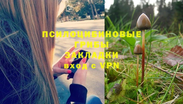 ECSTASY Алзамай