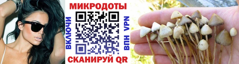 Галлюциногенные грибы Cubensis Цоци-Юрт