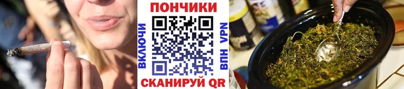 Марихуана гибрид Цоци-Юрт